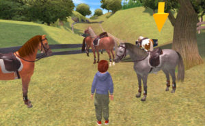 the star stable 2
