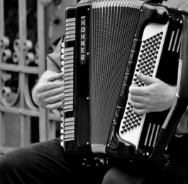 accordion